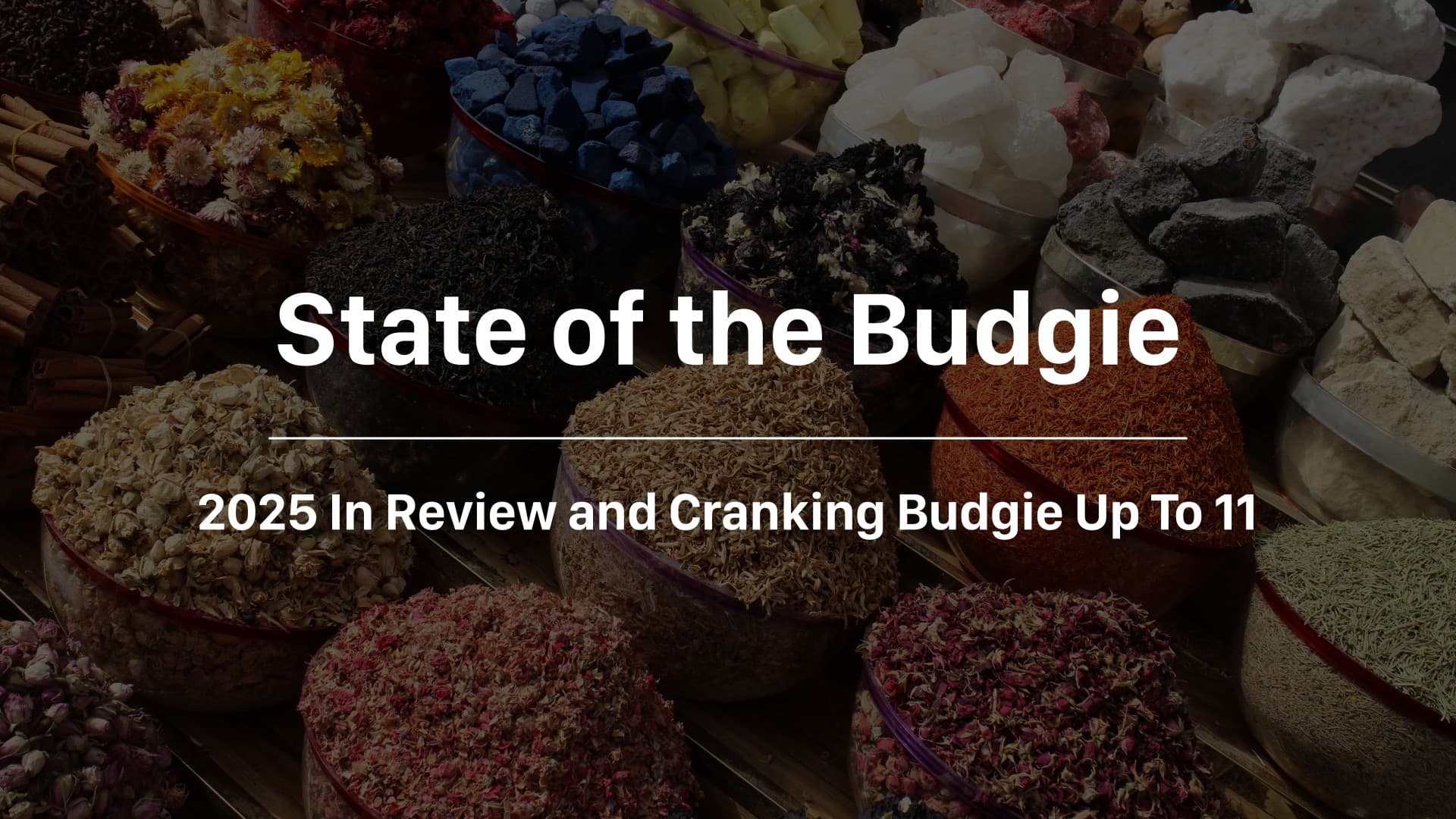 State of the Budgie: 2025 In Review and Cranking Budgie Up To 11