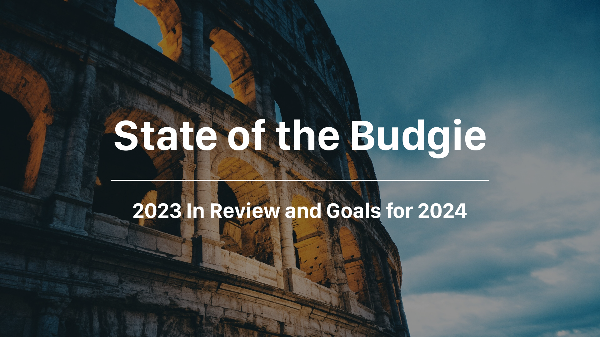 State of the Budgie: 2023 In Review and Goals for 2024